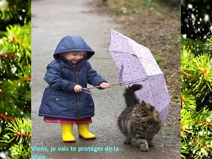 Viens, je vais te protéger de la pluie…