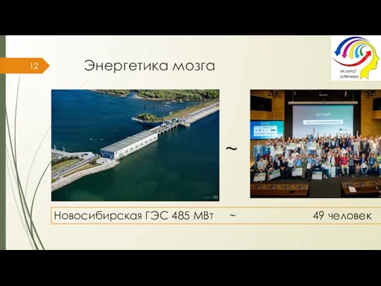 Энергетика мозга Новосибирская ГЭС 485 МВт ~ 49 человек ~