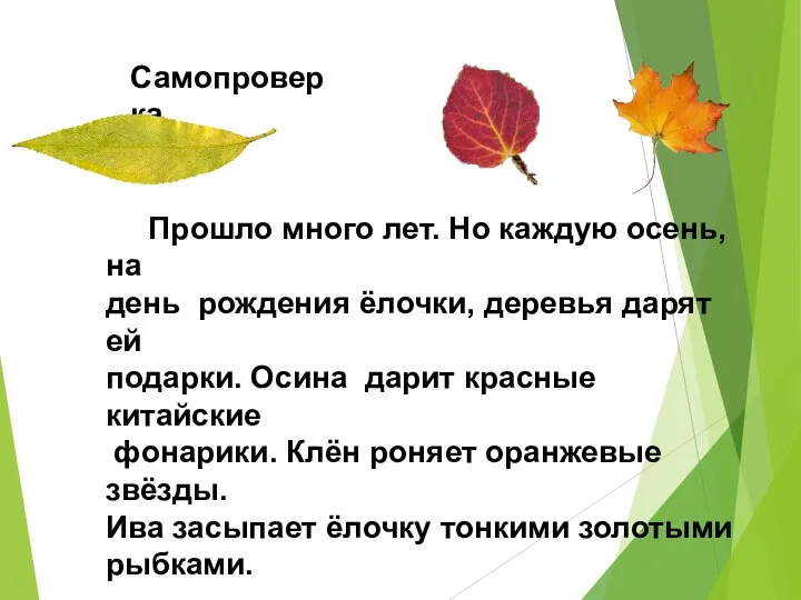 Самопроверка Прошло много лет. Но каждую осень, на день рождения ёлочки, деревья