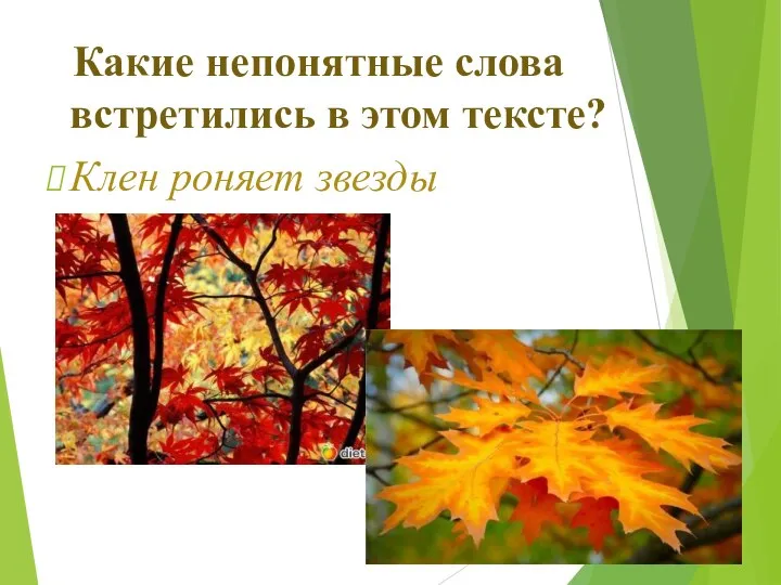 Какие непонятные слова встретились в этом тексте? Клен роняет звезды