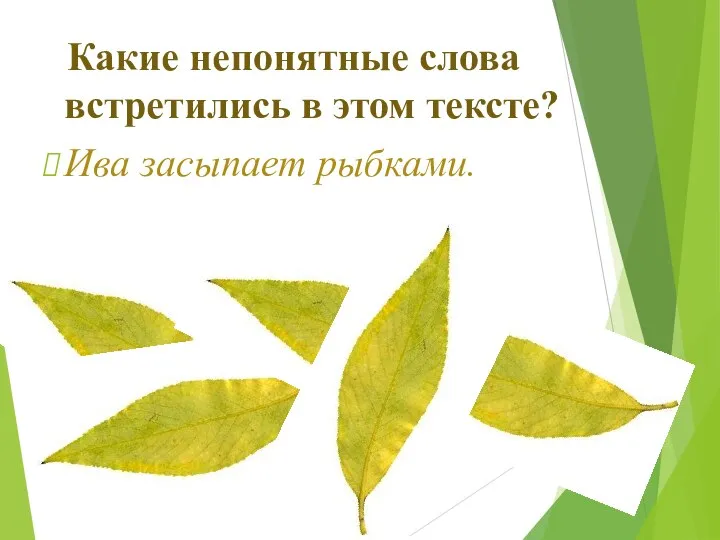 Какие непонятные слова встретились в этом тексте? Ива засыпает рыбками.