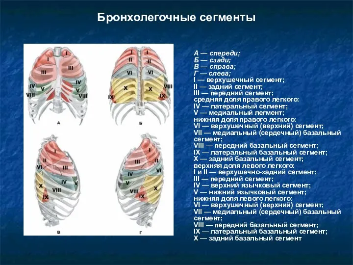 А — спереди; Б — сзади; В — справа; Г — слева;