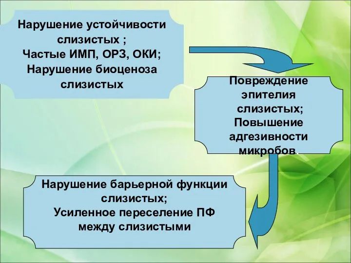 Нарушение устойчивости слизистых ; Частые ИМП, ОРЗ, ОКИ; Нарушение биоценоза слизистых Повреждение