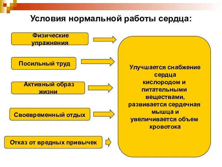 Условия нормальной работы сердца: Физические упражнения Посильный труд Активный образ жизни Своевременный