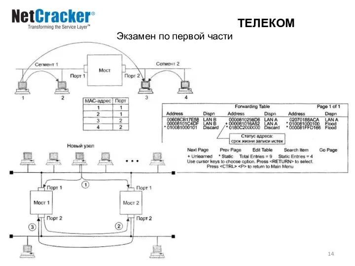 ТЕЛЕКОМ Экзамен по первой части