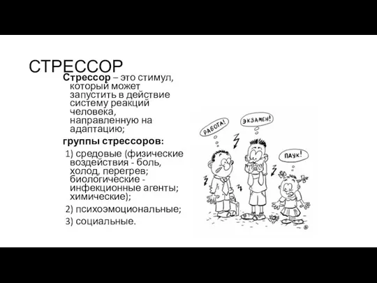 СТРЕССОР Стрессор – это стимул, который может запустить в действие систему реакций