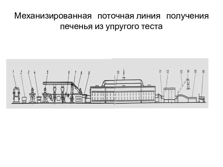 Механизированная поточная линия получения печенья из упругого теста