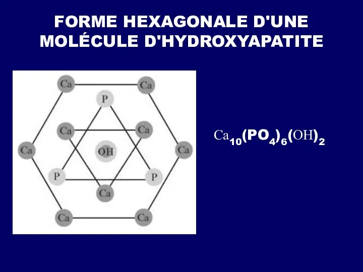 FORME HEXAGONALE D'UNE MOLÉCULE D'HYDROXYAPATITE Са10(PO4)6(ОН)2