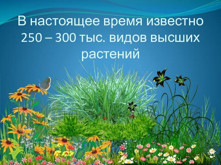 В настоящее время известно 250 – 300 тыс. видов высших растений