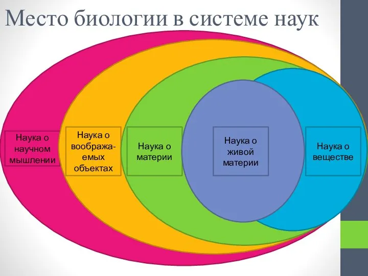 Место биологии в системе наук Наука о научном мышлении Наука о вообража-емых