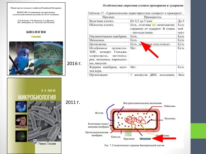 2016 г. 2011 г.