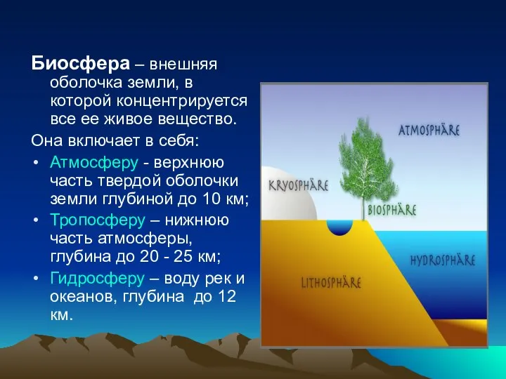 Биосфера – внешняя оболочка земли, в которой концентрируется все ее живое вещество.