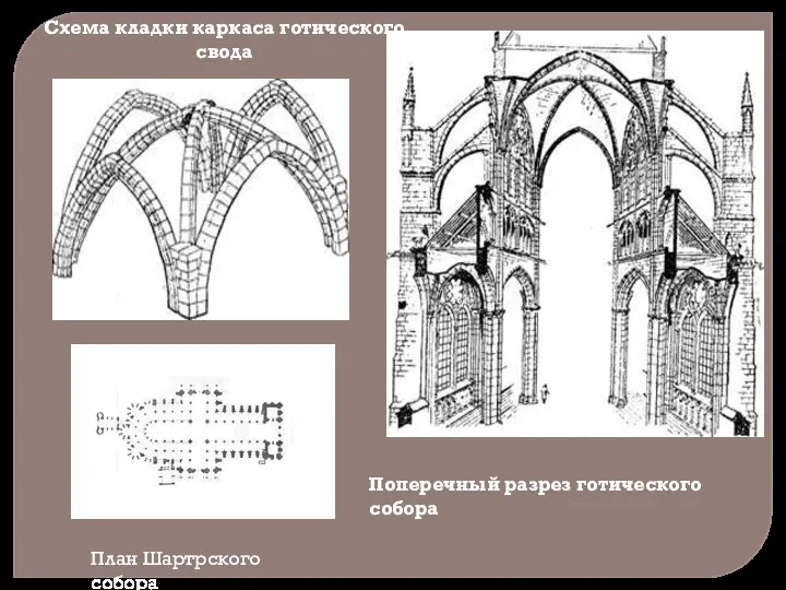 Схема кладки каркаса готического свода Поперечный разрез готического собора План Шартрского собора