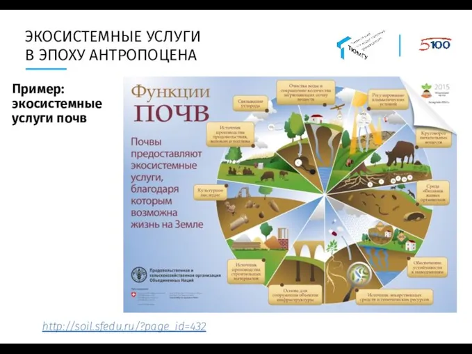 ЭКОСИСТЕМНЫЕ УСЛУГИ В ЭПОХУ АНТРОПОЦЕНА http://soil.sfedu.ru/?page_id=432 Пример: экосистемные услуги почв
