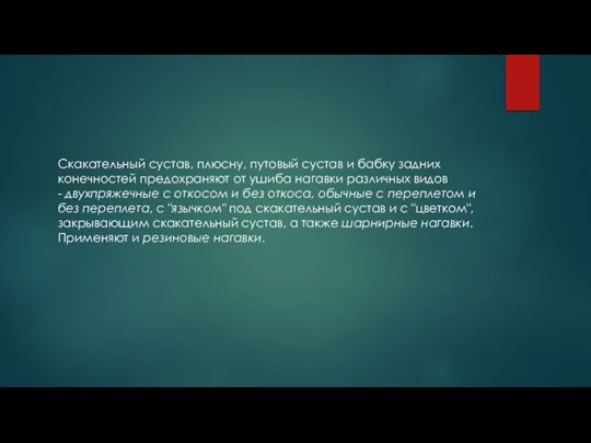 Скакательный сустав, плюсну, путовый сустав и бабку задних конечностей предохраняют от ушиба