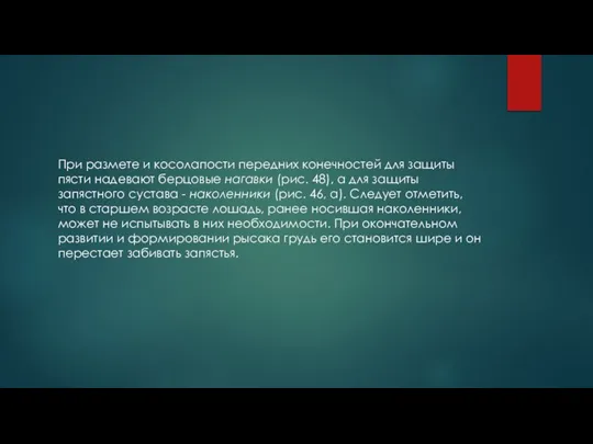 При размете и косолапости передних конечностей для защиты пясти надевают берцовые нагавки