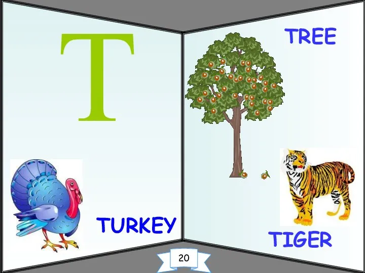 TURKEY TIGER T TREE 20