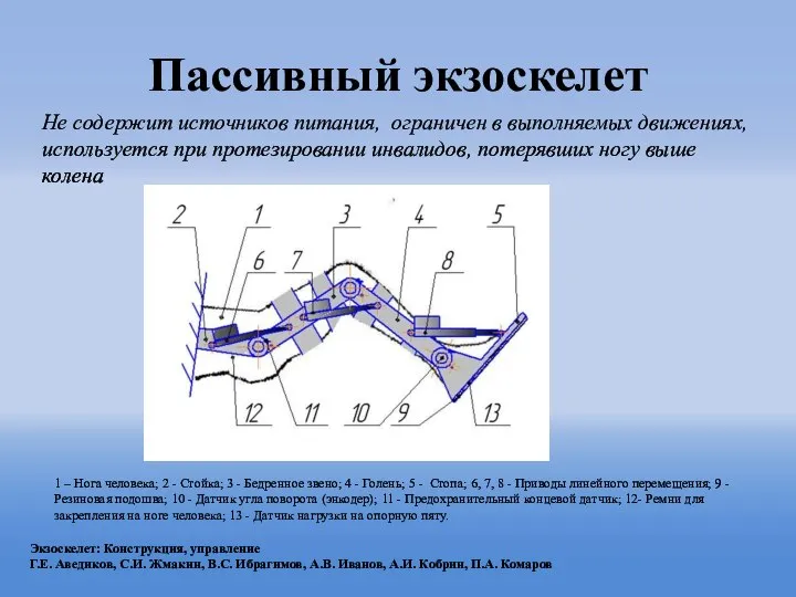 Пассивный экзоскелет 1 – Нога человека; 2 - Стойка; 3 - Бедренное