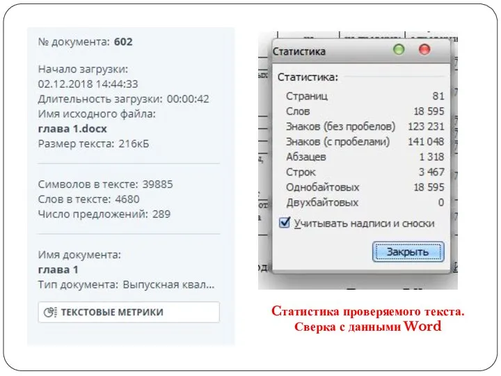 Cтатистика проверяемого текста. Сверка с данными Word