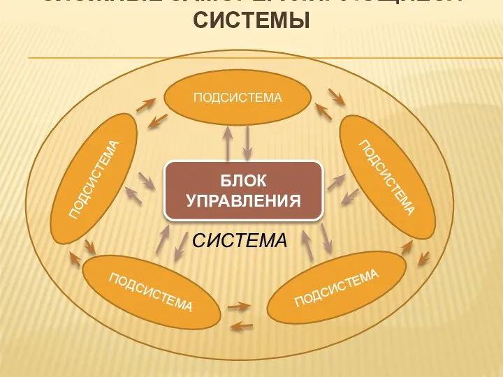 СЛОЖНЫЕ САМОРЕГУЛИРУЮЩИЕСЯ СИСТЕМЫ