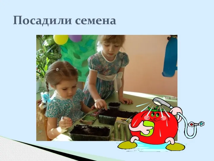 Посадили семена