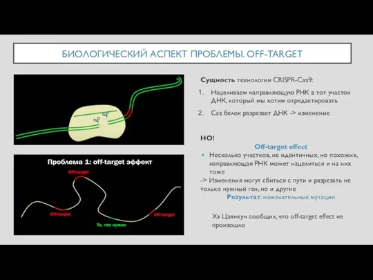 БИОЛОГИЧЕСКИЙ АСПЕКТ ПРОБЛЕМЫ. OFF-TARGET Сущность технологии CRISPR-Cas9: Нацеливаем направляющую РНК в тот