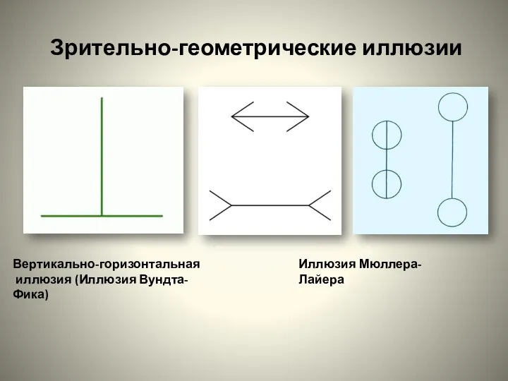 Зрительно-геометрические иллюзии Вертикально-горизонтальная иллюзия (Иллюзия Вундта-Фика) Иллюзия Мюллера-Лайера