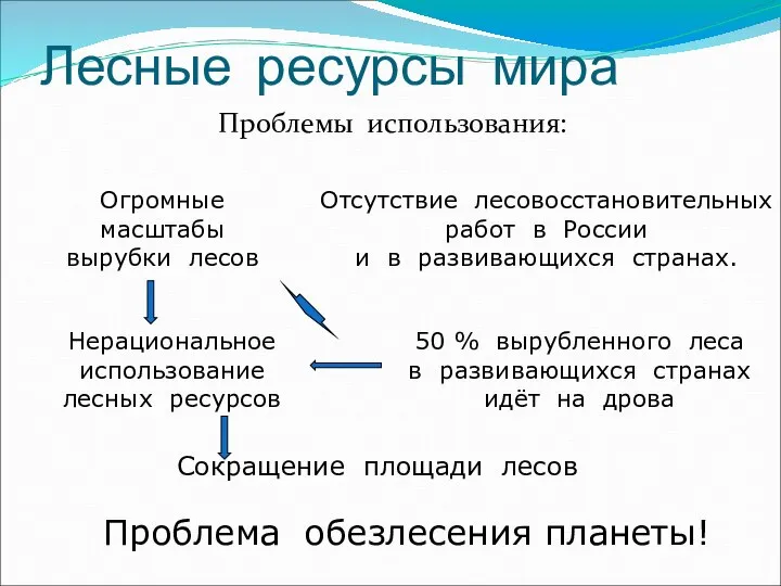 Лесные ресурсы мира Проблемы использования: Сокращение площади лесов Нерациональное использование лесных ресурсов