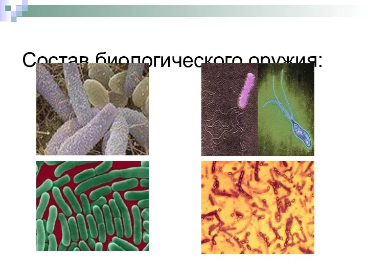 Состав биологического оружия: