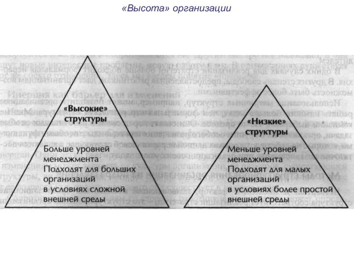 «Высота» организации