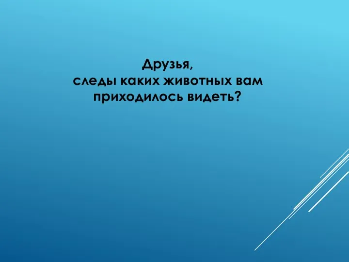 Друзья, следы каких животных вам приходилось видеть?