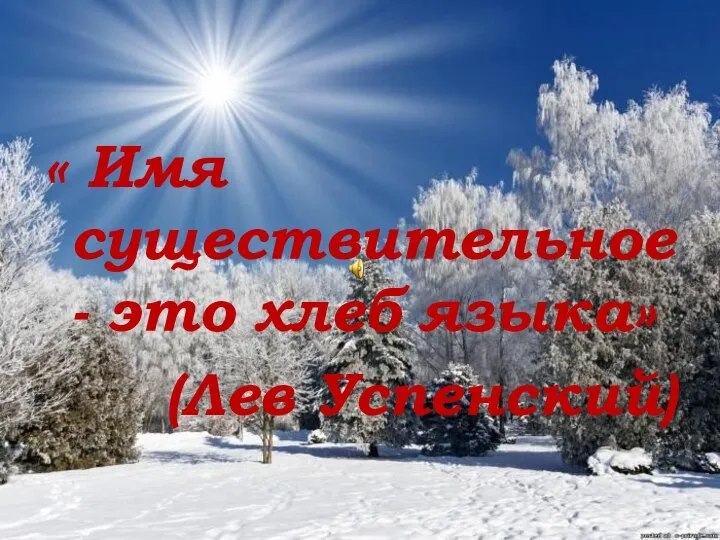 « Имя существительное- это хлеб языка» (Лев Успенский)