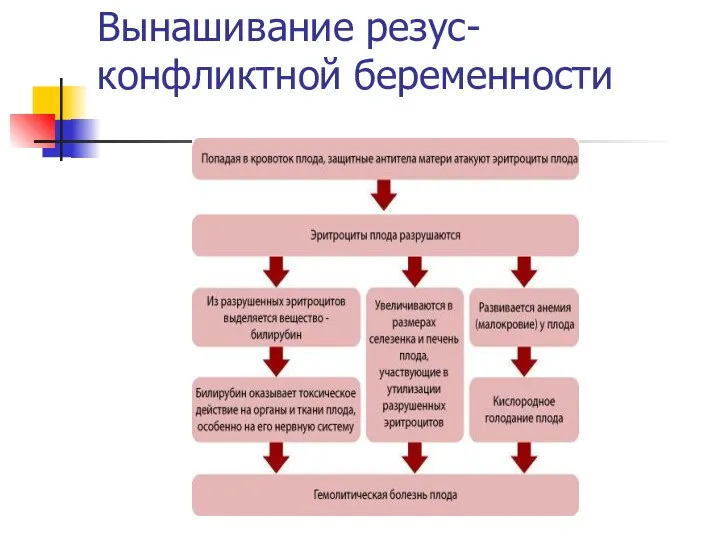 Вынашивание резус-конфликтной беременности