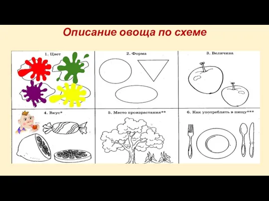 Описание овоща по схеме