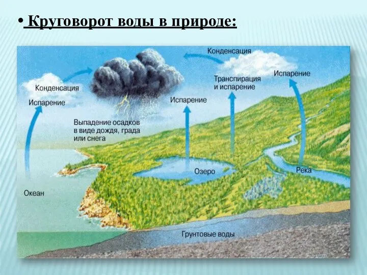 Круговорот воды в природе: