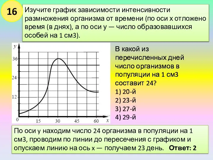 Изучите график зависимости интенсивности размножения организма от времени (по оси х отложено