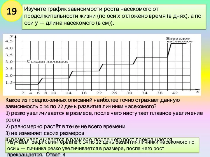 Изучите график зависимости роста насекомого от продолжительности жизни (по оси х отложено