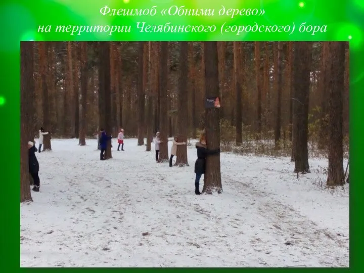 Флешмоб «Обними дерево» на территории Челябинского (городского) бора