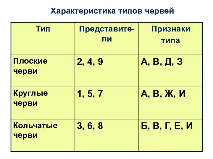 Характеристика типов червей