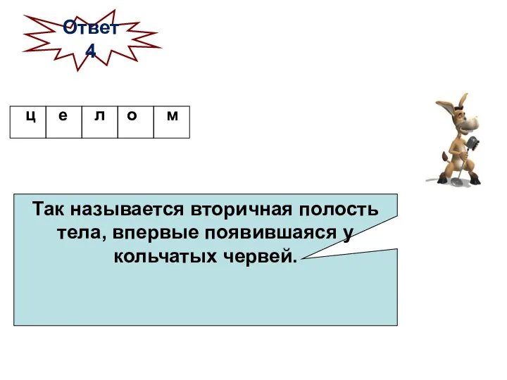 Так называется вторичная полость тела, впервые появившаяся у кольчатых червей. Ответ 4 ц