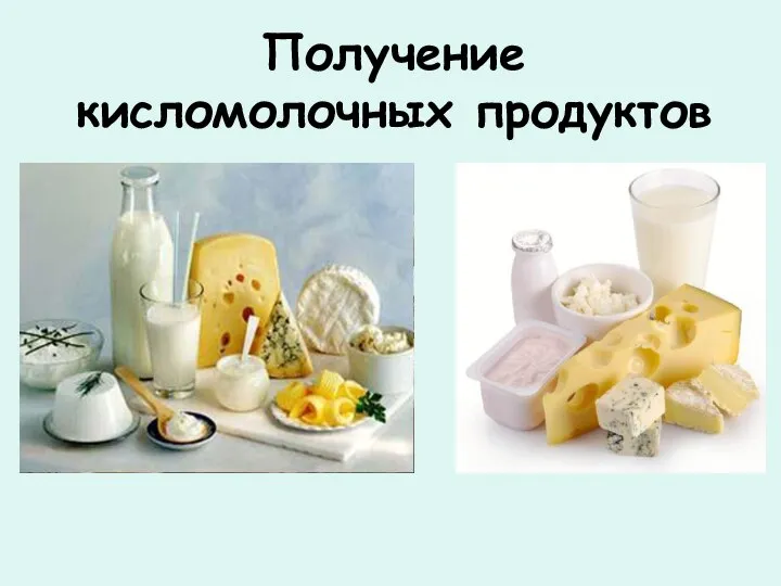 Получение кисломолочных продуктов