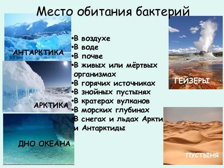 АНТАРКТИКА ДНО ОКЕАНА АРКТИКА ГЕЙЗЕРЫ В воздухе В воде В почве В