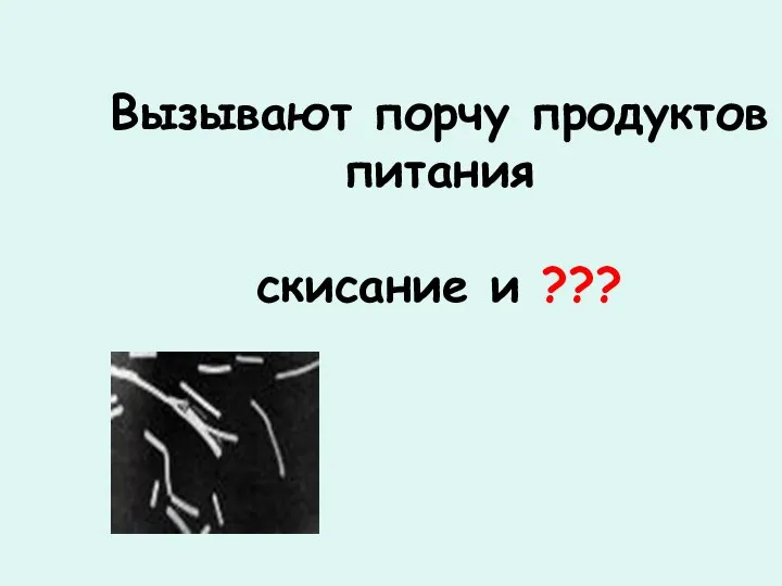 Вызывают порчу продуктов питания скисание и ???