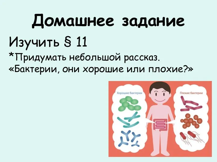 Домашнее задание Изучить § 11 *Придумать небольшой рассказ. «Бактерии, они хорошие или плохие?»