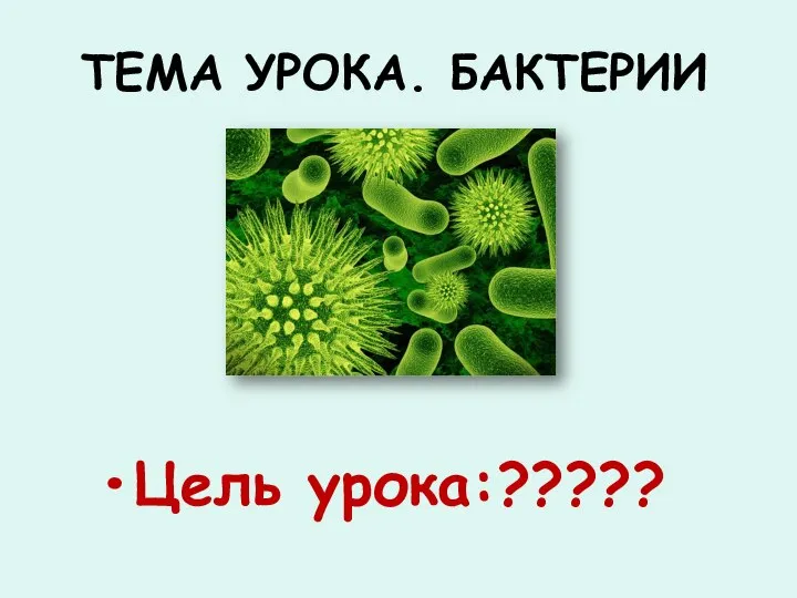 Цель урока:????? ТЕМА УРОКА. БАКТЕРИИ