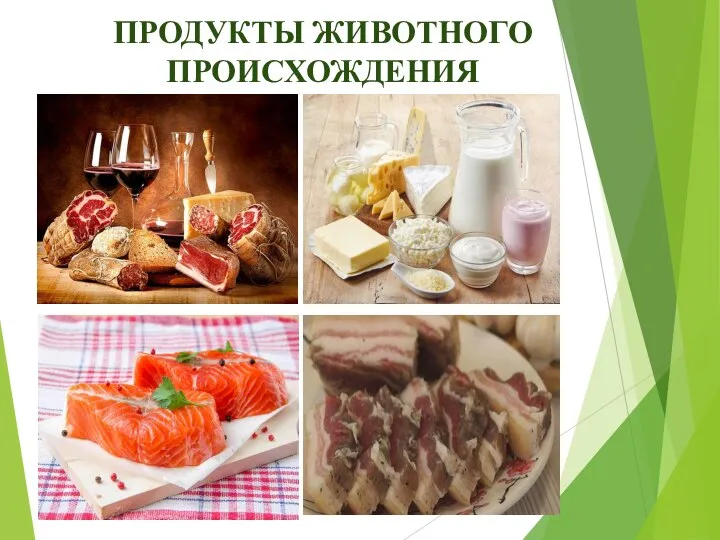 ПРОДУКТЫ ЖИВОТНОГО ПРОИСХОЖДЕНИЯ