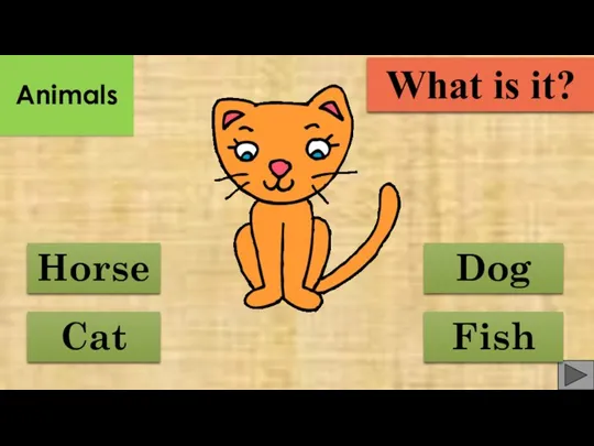 Dog Cat Horse Fish What is it? Animals