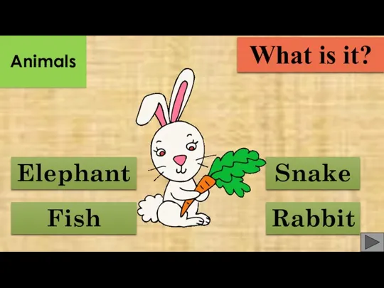 Fish Rabbit Elephant Snake What is it? Animals