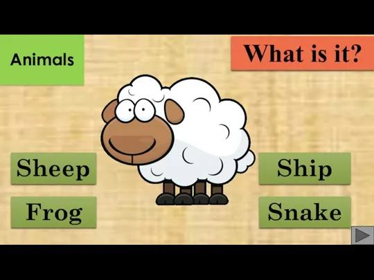 Frog Sheep Ship Snake What is it? Animals