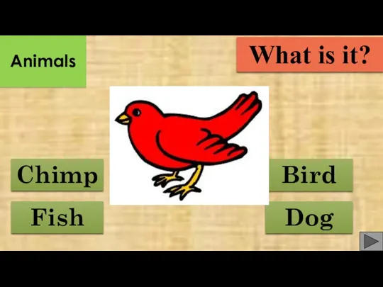 Fish Bird Chimp Dog What is it? Animals